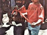 Tucusitos de la Parranda de San Pedro de Guarenas, año 1988