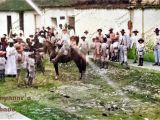 Calle prima norte del Pueblo Arriba de Guarenas, frente a la plaza, año 1900. Cinco años después se reinauguró la plaza como Simón Bolívar. Esta calle fue nombra Régulo Fránquiz en 1940. La calle Régulo Fránquiz podría considerarse una calle prima de Guarenas.