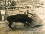 Tarde de toros durante las fiestas patronales de Guarenas, década 1950