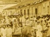 Buey de tiro en una comparsa de la calle Real o Comercio de Guarenas, año 1908.