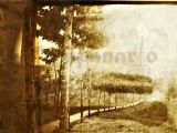 Bajada de Los Almendrones, Guarenas, año 1915