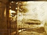Bajada de Los Almendrones, Guarenas, año 1915. Veinticinco años más tarde sería nombrada calle Régulo Fránquiz.