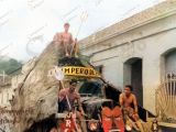 Carnavales artísticos de Guarenas, calle Comercio, década de 1960. Carroza El Imperio de Plutón. Fotografía restaurada y coloreada digitalmente por Campanario Urbano.