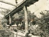 Ruinas de la Escuela Federal Graduada Carabobo. Fotografía tomada desde el interior de la casona. Guarenas, año 1980.