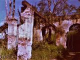 Noria y acequia del trapiche Hacienda Casarapa