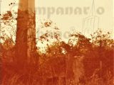 Torreón de la Hacienda El Carmen, Ciudad de los Muchachos