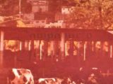 Hato Lechero en el sector La Guarita, contiguo a la Hacienda El Pabelo, Guarenas, año 1978. Muy cerca estuvo la Hacienda El Paraíso, la famosa Vaquera de Guarenas