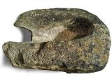 Piedra de moler de la familia García Chapellín, usada en Guarenas desde 1898 hasta 1913.