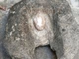 Piedra de moler de la familia García Chapellín, usada en Guarenas desde 1898 hasta 1913.