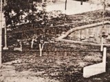 Plaza Bolívar de Guarenas, año 1950