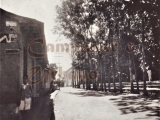 Plaza Bolívar de Guarenas, calle Régulo Fránquiz, año 1938