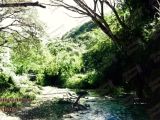 Río Curupao en Guarenas, década 1980.