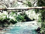 Río Guarenas, década 1980