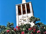 Propietario: Edgar Carmona R.
Fecha de captura: 23/05/1994.
Lugar: Torre del Campanario de la Catedral Nuestra Señora de La Copacabana.
Comentario: Fotografía tomada a través de las flores.