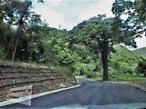 Carretera Curupao, década 1990