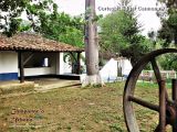 Propietario: Edgar Carmona R.
Fecha de captura: 25/02/2009.
Lugar: Casona de la antigua Hacienda Casarapa.