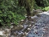 Río Curupao, década 1990