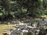 Río Curupao, década 1990