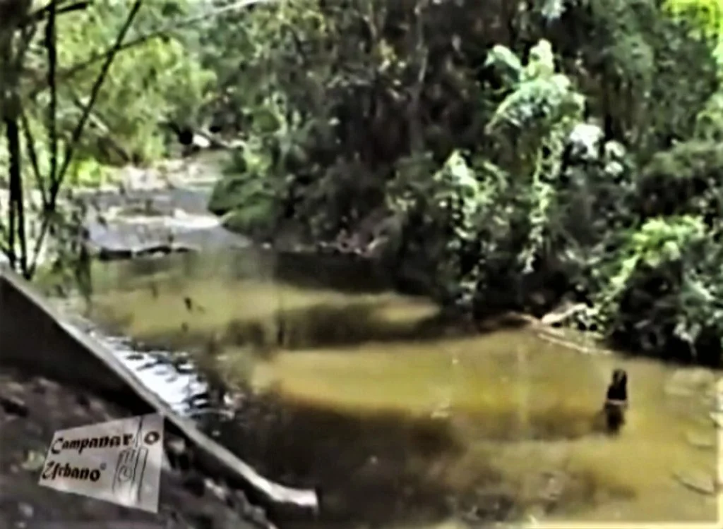 Río Curupao, década 1990