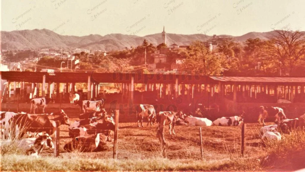 La Vaquera de Guarenas