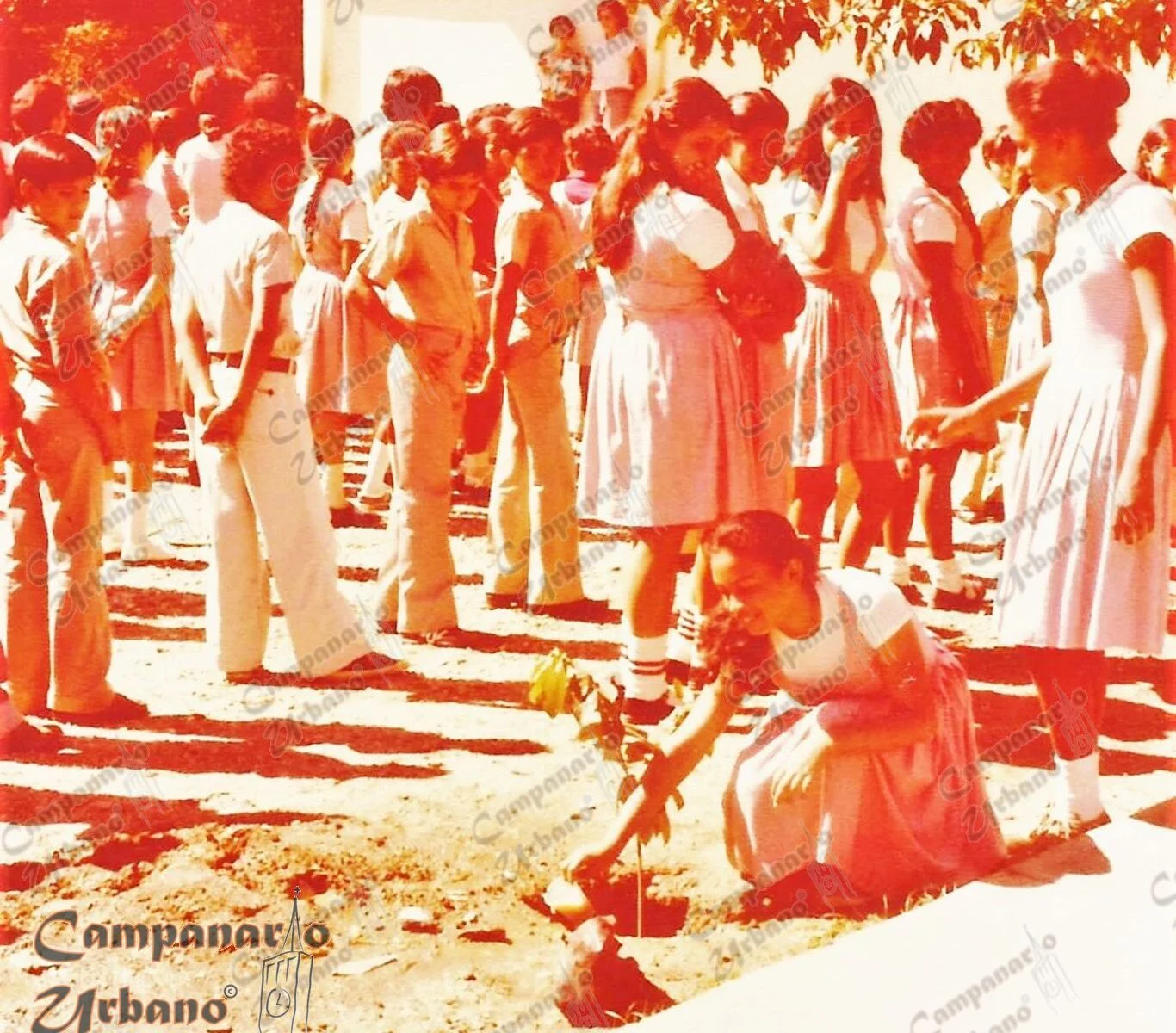 Día del Árbol 1977. Alumnos del sexto grado del Grupo Estadal Simón Rodríguez de Guarenas.