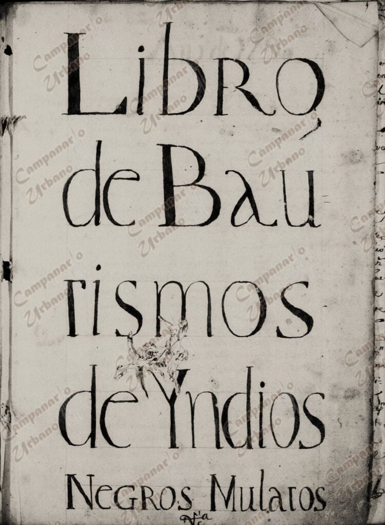 Libro de bautismos de indios, negros y mulatos, tomo único, período 1790-1806, Parroquia Nuestra Señora de Copacabana de Guarenas. En este libro se encuentra asentada la fe de bautismo de una párvula llamada María Ignacia