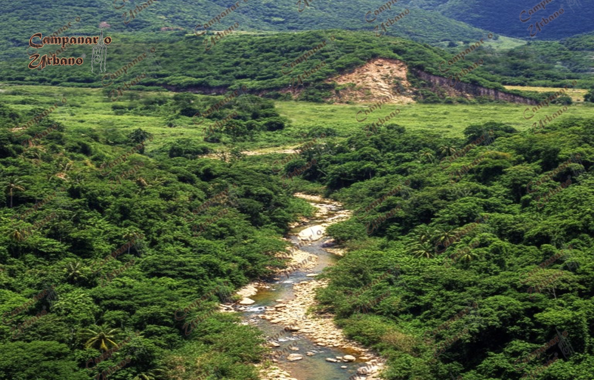 Guacarapa